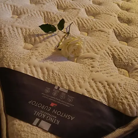 Accessible Luxury Αρτέμιδα